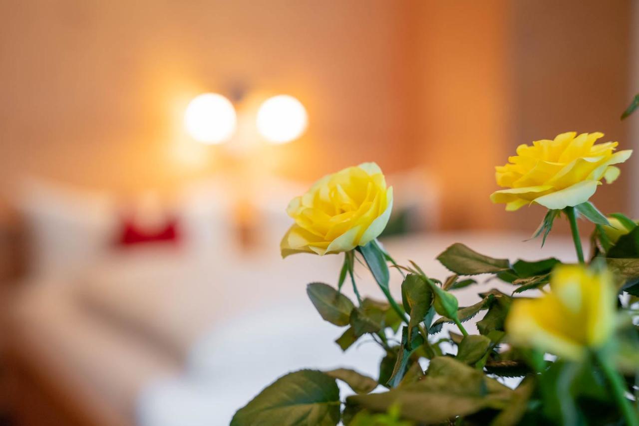 Ferienwohnung Heidi Elmen Bagian luar foto